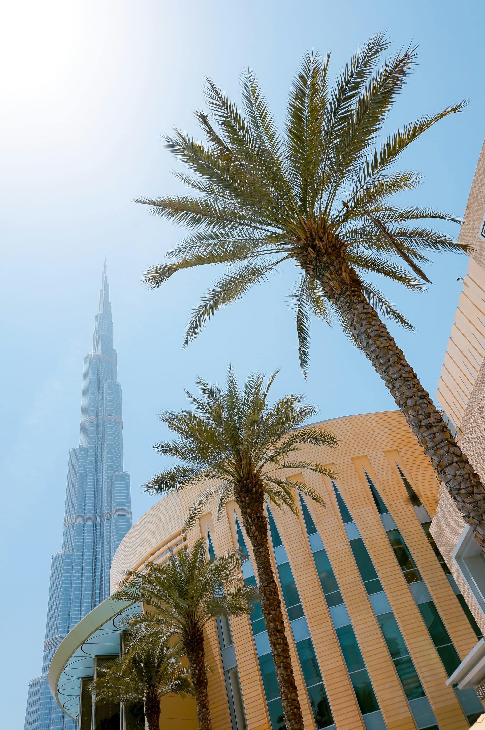 Dubai cityscape with modern architecture